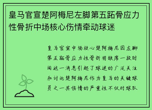 皇马官宣楚阿梅尼左脚第五跖骨应力性骨折中场核心伤情牵动球迷 皇马官宣楚阿梅尼左脚第五跖骨应力性骨折中场核心伤情牵动球迷